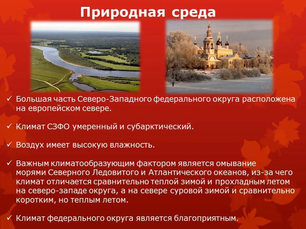 Северо западный презентация. Климат сзфо. северо-западный федеральный округ презентация. презентация сзфо. климат северо западного федерального округа.