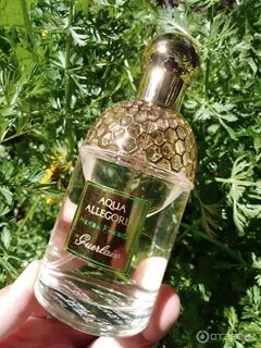 Аква аллегория фреска