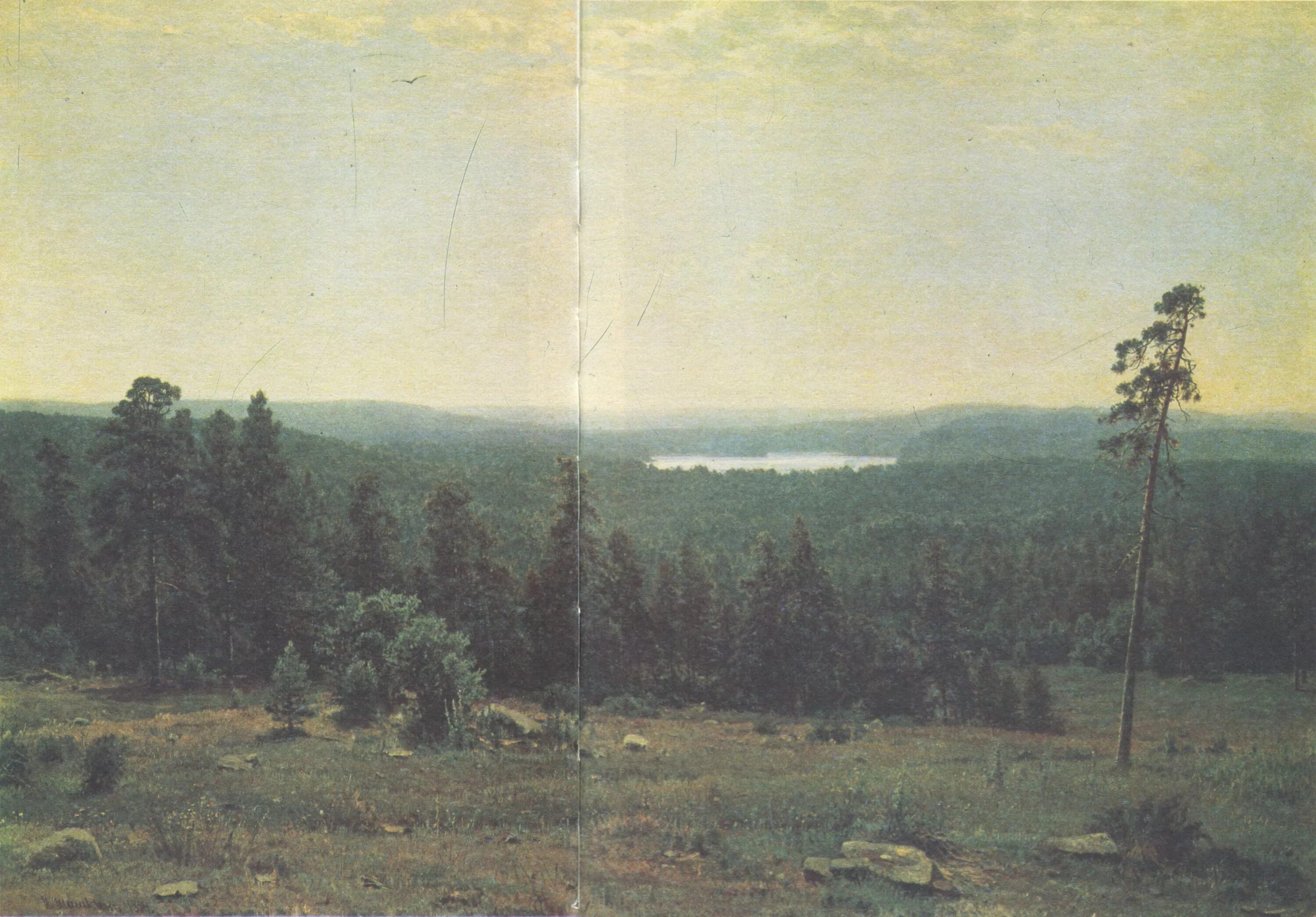 лесные дали текст. шишкин лесные дали. лесные дали шишкин описание. и и шишкин лесные дали 1884 г. благословляю вас леса картина.