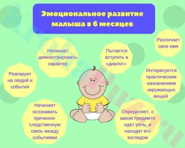 Что должен уметь ребёнок в 6 месяцев. Что должен уметь ребенок в полгода. Что должен уметь младенец в 6 месяцев. Малыш в 6 месяцев развитие что должен уметь.