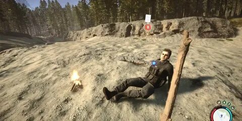 Кельвин forest