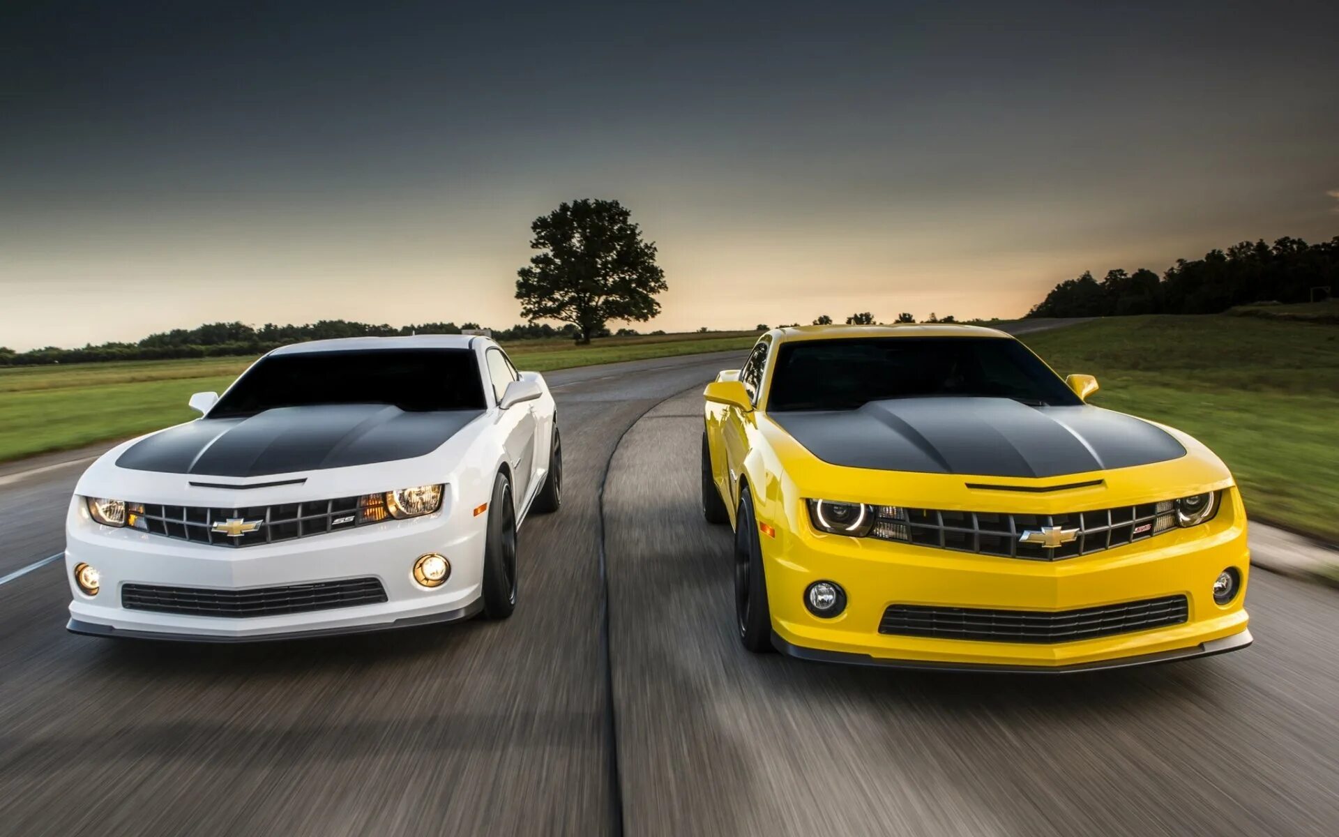 Шевроле камаро. Шевроле камаро 66. Шевроле камаро 2022 желтый. Скачай chevrolet camaro. Chevrolet camaro zl1 2012.