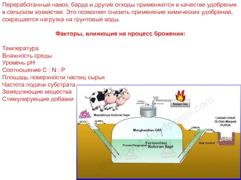 Переработка навоза в биогаз в сельском хозяйстве. Факторы влияющие на процесс брожения. Факторы влияющие на процесс брожения навоза. Метановое сбраживание навоза. Метан в сельском хозяйстве