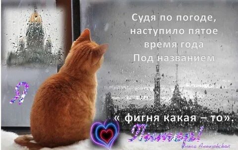 Жду теплой погоды
