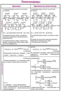 Целлюлоза и крахмал строение свойства