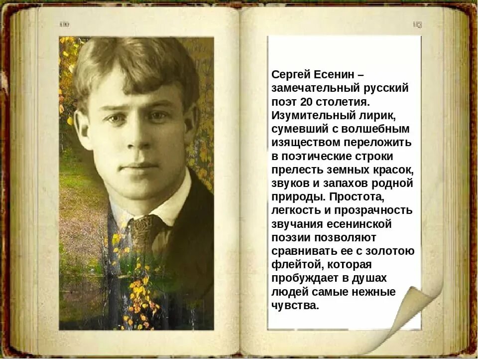 Именно поэт. Поэты 20 века Сергей Есенин. Есенин лунность. Сергей Есенин Отговорила роща. Серге1 Есенин.