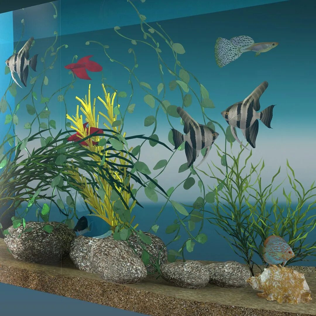 Аквариум 3ds Max. Аквариум в 3d Max. 3д модель аквариума для 3d Max. Аквариум в 3д Макс. Aquarium 3