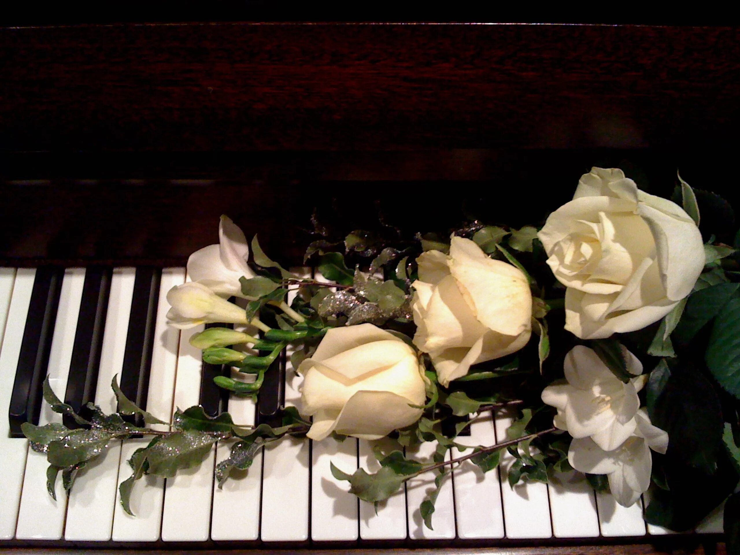Белые цветы музыка. Музыкальный букет. Цветы для музыканта. Фортепиано.