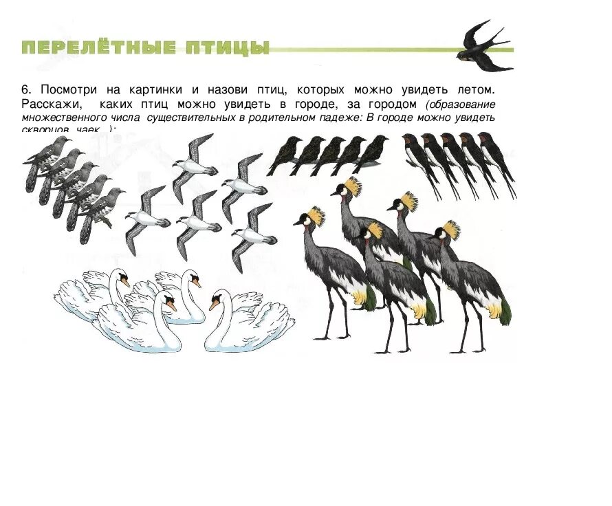 перелетные птицы для детей 5-6 лет. перелетные птицы логопедические задания. теремкова перелетные птицы. задания для детей по теме перелетные птицы. лексическая тема перелетные и зимующие птицы.
