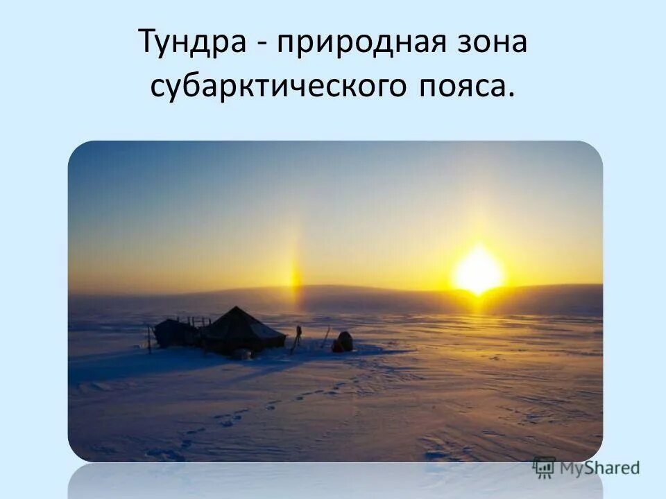 арктика тундра. климат тундры субарктический. полярная тундра. субарктическая тундра ландшафт. природная зона субарктического климата.