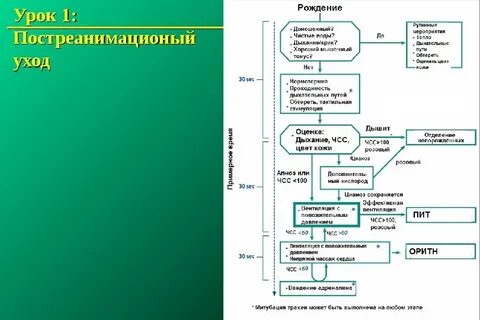 Реанимация у детей клинические рекомендации