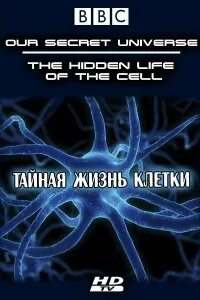 Внутренняя вселенная тайная жизнь клетки