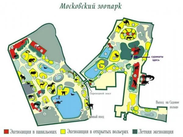 Схема новой территории московского зоопарка. Московский зоопарк карта территории. Московский зоопарк схема территории. Московский зоопарк схема территории 2022. Новая территория зоопарка москва.