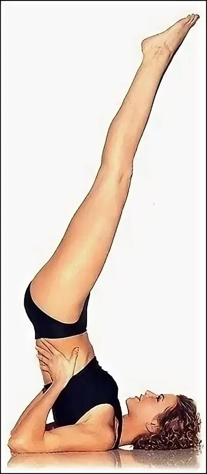 График базальной температуры при беременности. Березка чтобы забеременеть. Ноги за голову. Поза березка для зачатия ребенка. Березка чтобы забеременеть.