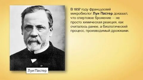 Луи пастер биография