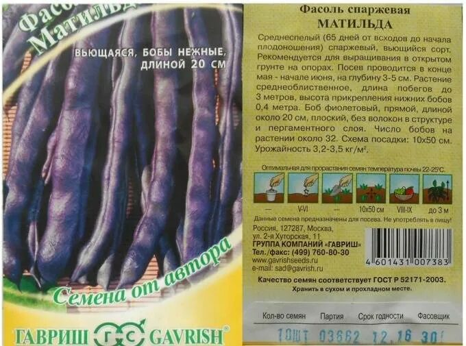 Фасоль спаржевая сорта фото. Фасоль спаржевая мавританка. спаржевая фасоль семена. фасоль спаржевая мавританка гавриш.