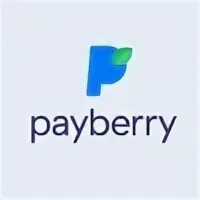 Пейбери ру. PAYBERRY. PAYBERRY оплата. Пейбери логотип. PAYBERRY брендбук.