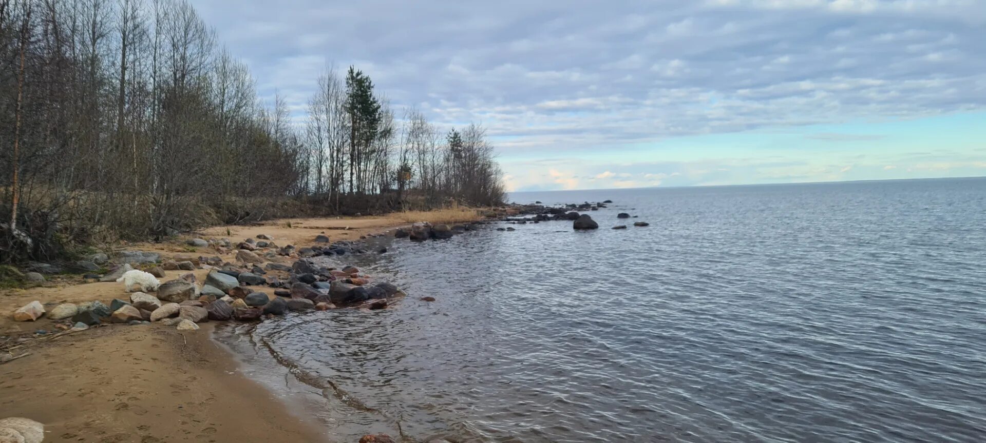 из какого озера вытекает онега 4. из какого озера вытекает онега 4. ладожское море сообщение. сообщение об онежском озере кратко. описание онежского озера.