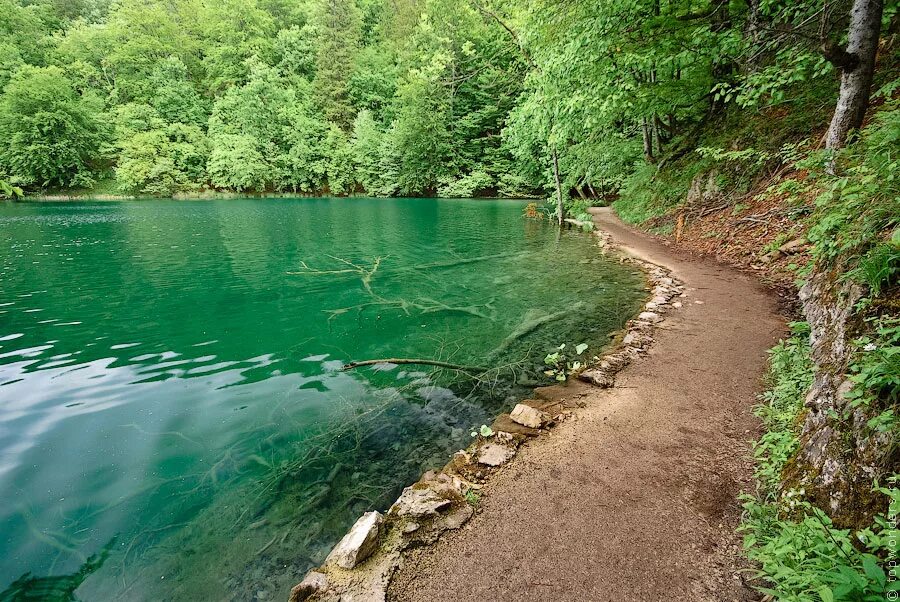 Зеленое озеро в австрии. Село русаковка крым. Марсианское озеро бахчисарайский район. Зеленогорье судак крым. Белянское озеро ленинградская область.