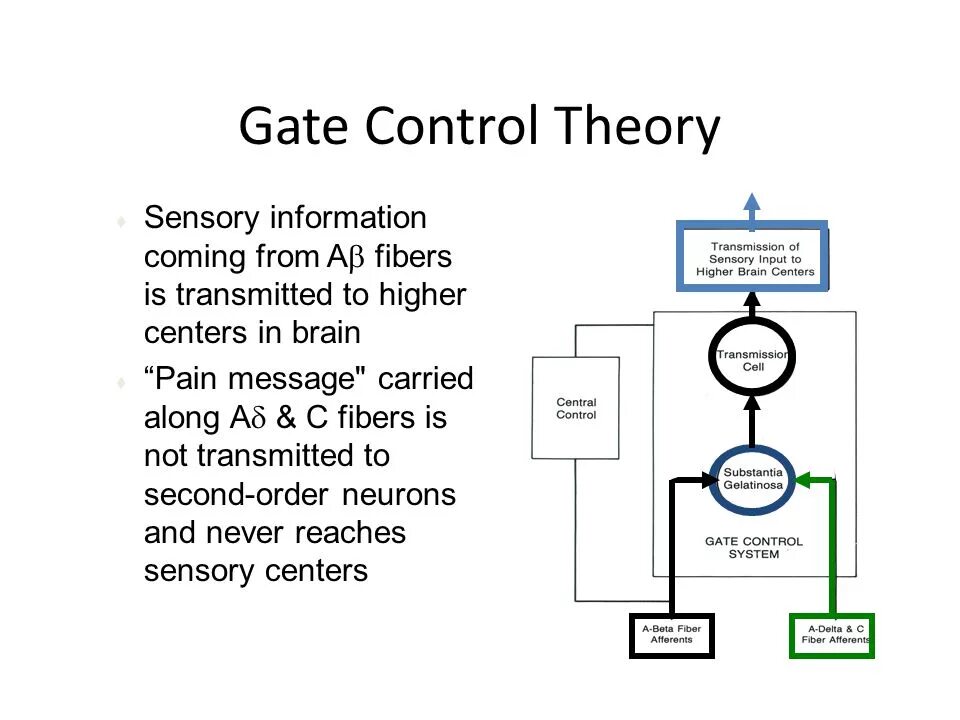 Control theory. Control gate. automatical control theory картинки. dea gate controller. transcutaneous electrical nerve stimulation.