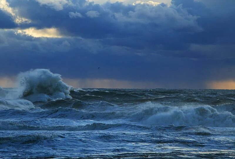 Тихий океан ветра. Море шторм. Море в непогоду. Штормовое море. Ветер на море.