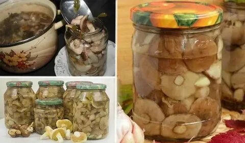 Сколько хранятся закрытые грибы в банке