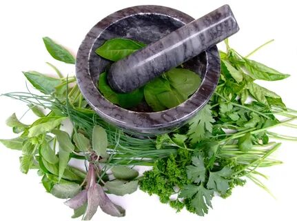 Medicine plants