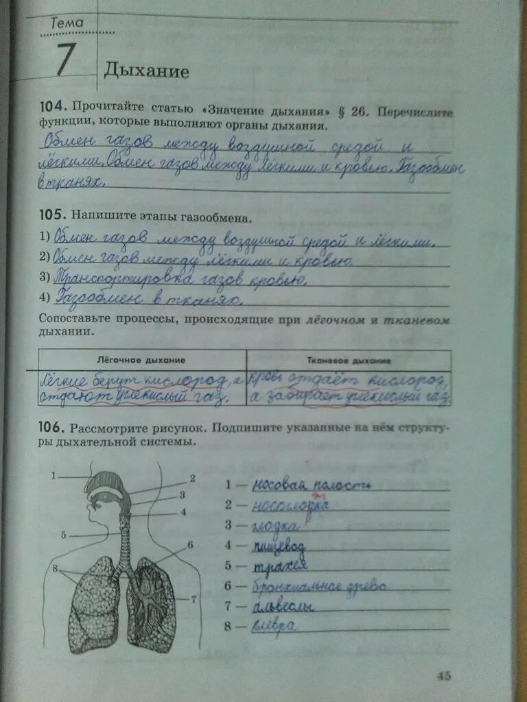 Биологическое значение дыхания. Значение дых функции. Значение дыхания. Прочитайте статью значение дыхания. Прочитайте статью значение дыхания.