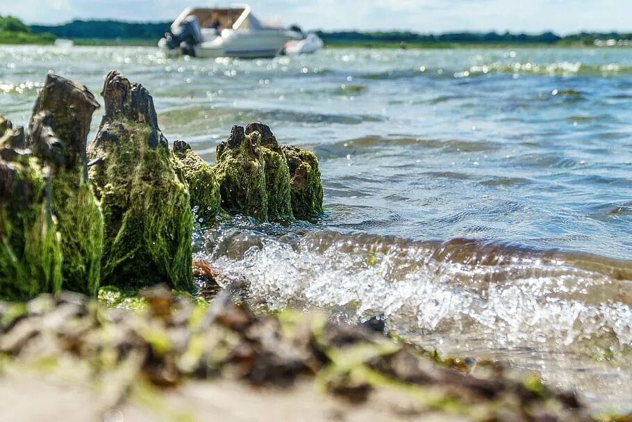 Балтийское море естественное или искусственное озеро. Балтийское море рассказ для 2 класса по окружающему миру. Балтийское море естественное или искусственное озеро. Балтийское море естественное или искусственное озеро. Карта солености финского залива.