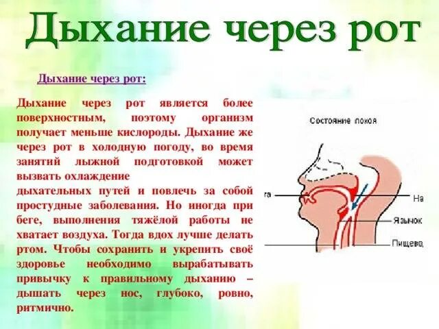 Дыхание через нос и через рот. Что будет если дышать ртом. Ротовой Тип дыхания у детей. Дыхание носом. Через почему з