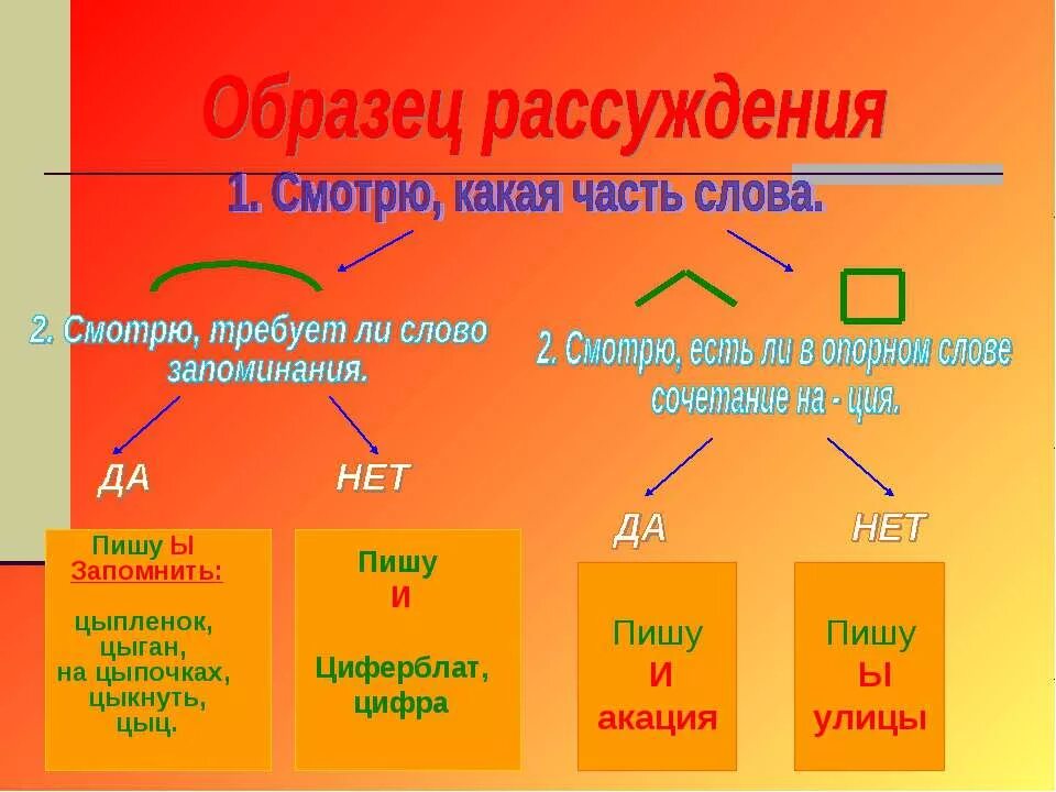 Написание цы и Ци. Правописание букв и ы после ц. Правописание Ци и цы правило. Написание Ци и цы в словах. Цыпочка слово