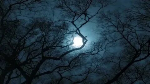 Mysterious