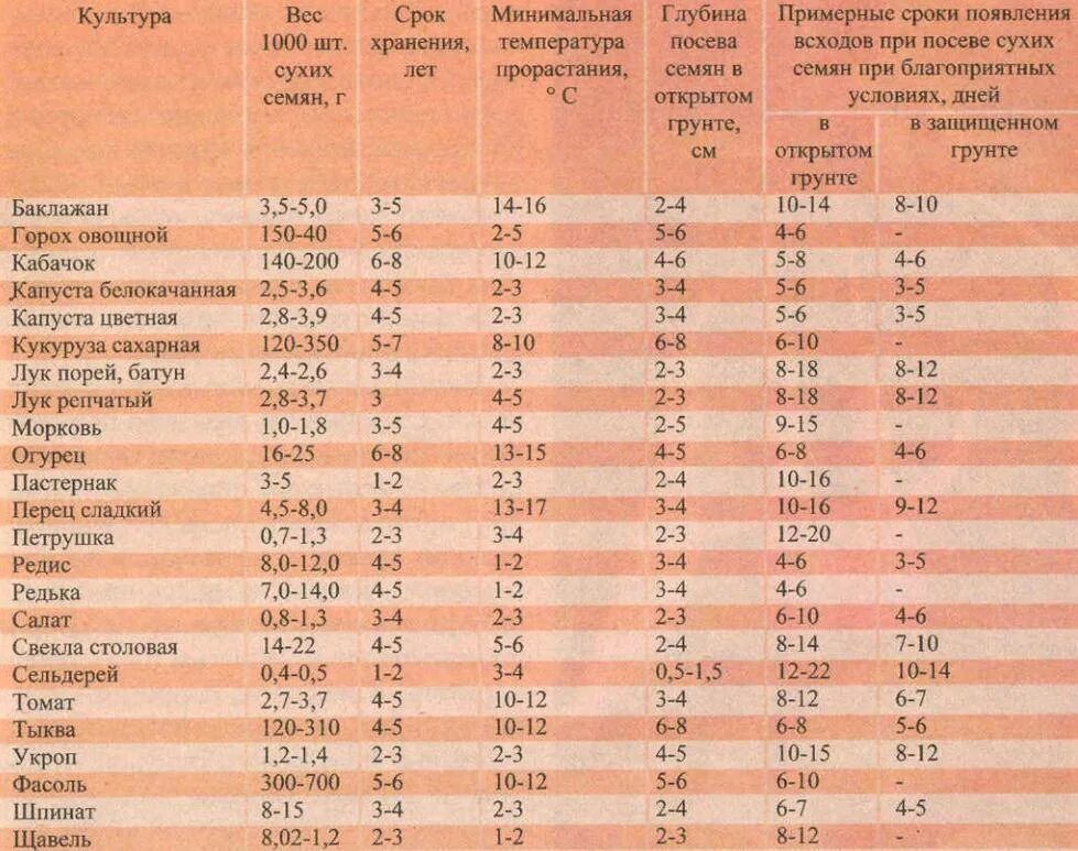 Таблица всхожести семян овощных. Сроки прорастания семян таблица овощей. Срок хранения семян овощей таблица. Сроки прорастания семян овощных культур.