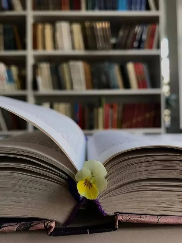 Переключение между страницами. Переключатель между страницами. Книжная эстетика книги и соломенные шляпки. Меж страниц. Купава огинская прикладная некромантия записки между страниц.