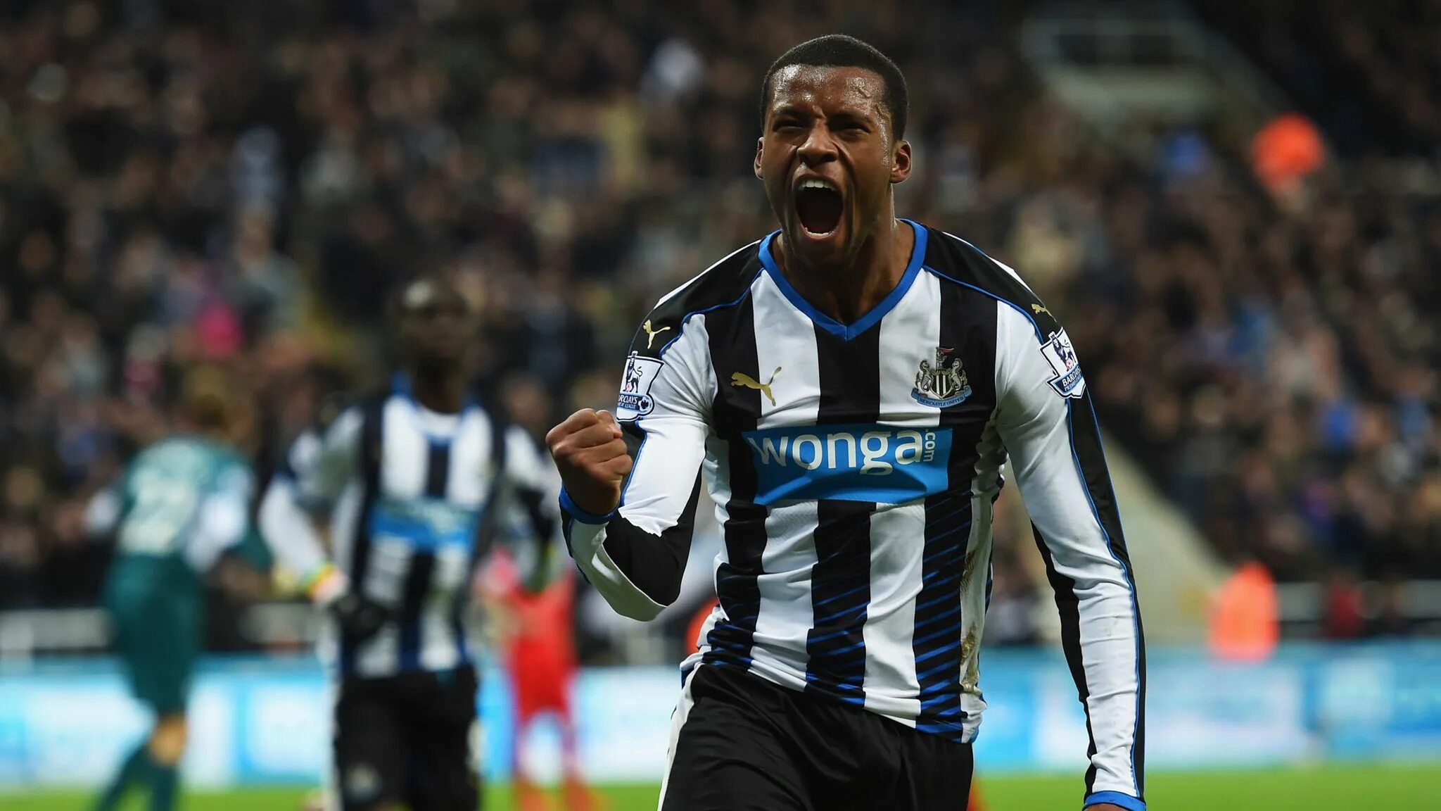 30 апреля 2015 год. Вейналдум Ньюкасл. Wijnaldum Newcastle.