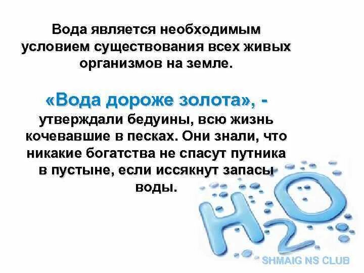 Интеллектуальная игра "Вода - колыбель жизни" - биология, презентации