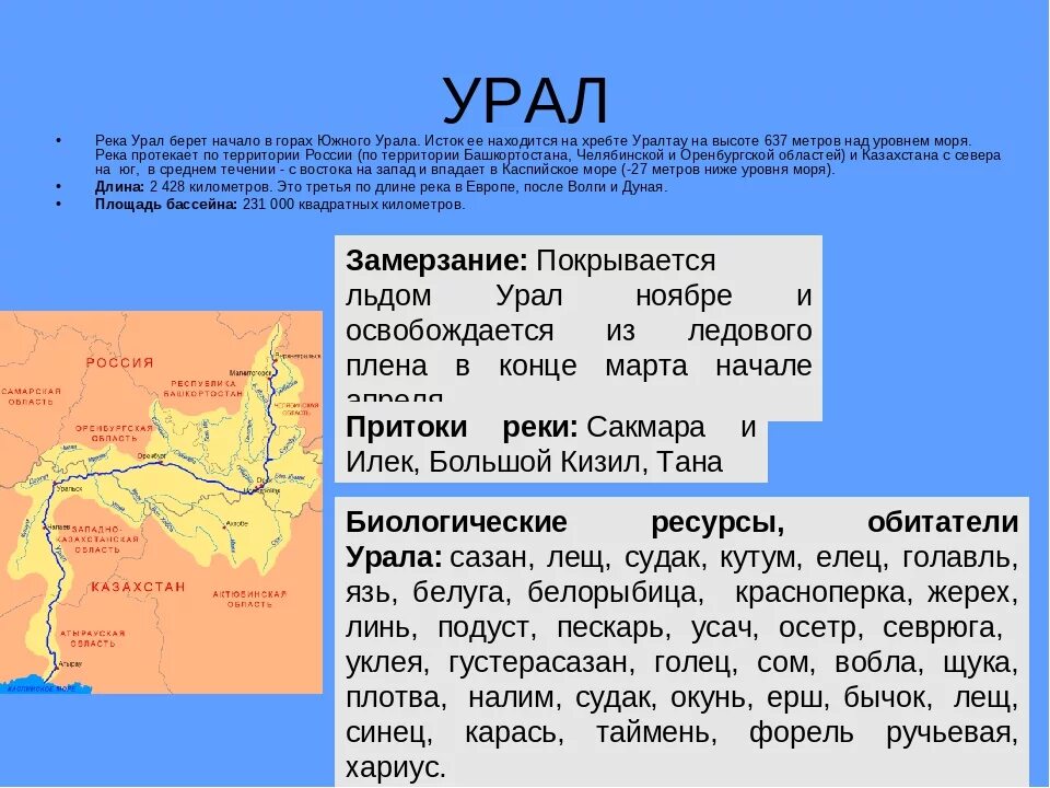 В какую сторону течет река урал. Крупные реки Урала на карте. Река Урал Исток и Устье на карте. Протяженность реки Урал от истока до устья. Река Урал на карте России Исток.