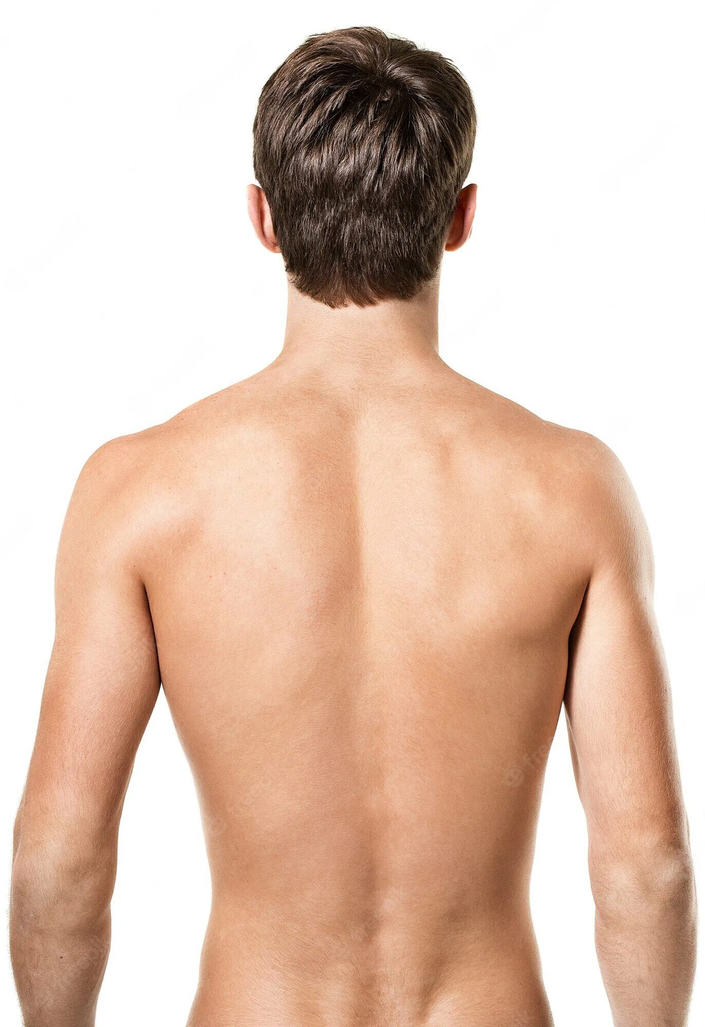 Человек туловище спина фото. Man back. Спина спортсмена. Мужчина со спины. Man back.