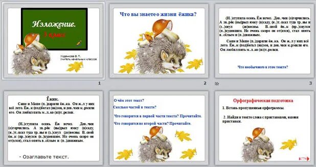 Изложение еж. Изложение еж