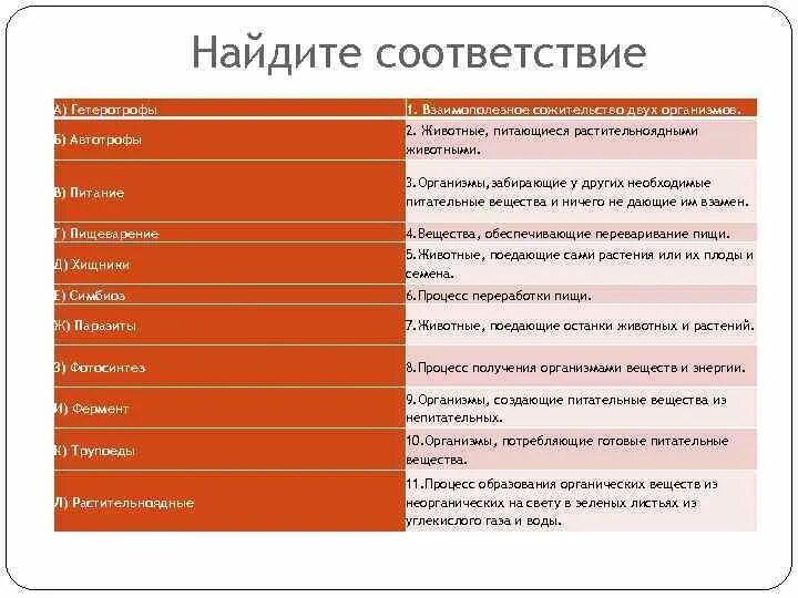 Найти соответствие в интернете. Найти соответствие. найти соответствие по фотографии. найти соответствие по фотографии в интернете.