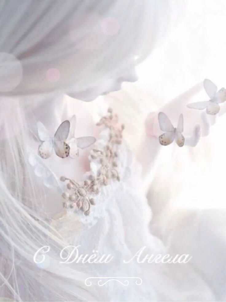 Серый фон с бликами. Нежные белые цветы. Нежные белые цветы. Нежный цветок. Цветы светлые.