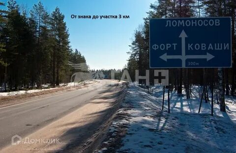 Сосновый бор ломоносов
