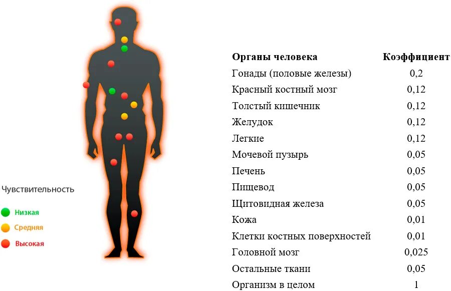 Действие радиационного излучения на людей. Радиационное излучение влияние на человека. Таблица воздействия радиации на человека. Коэффициент радиационного риска для организма человека. Группы критических органов