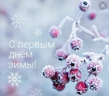Первый День зимы (91 изображение) .