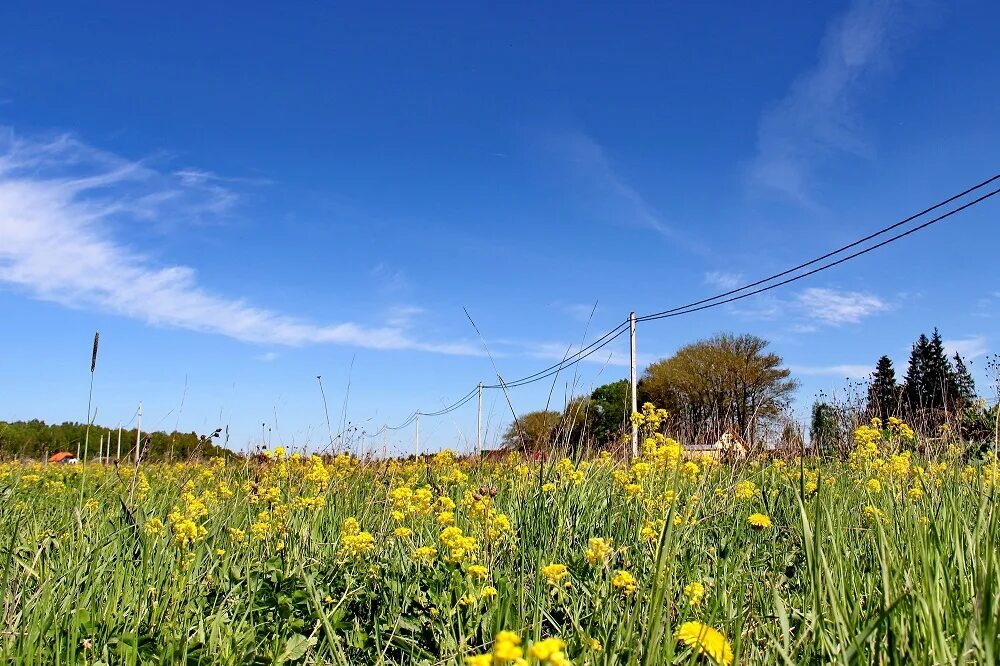 поселок раздолье. пос шаликово. деревня раздолье приозерский район. ватутинский лесной массив. коттеджный поселок раздолье.