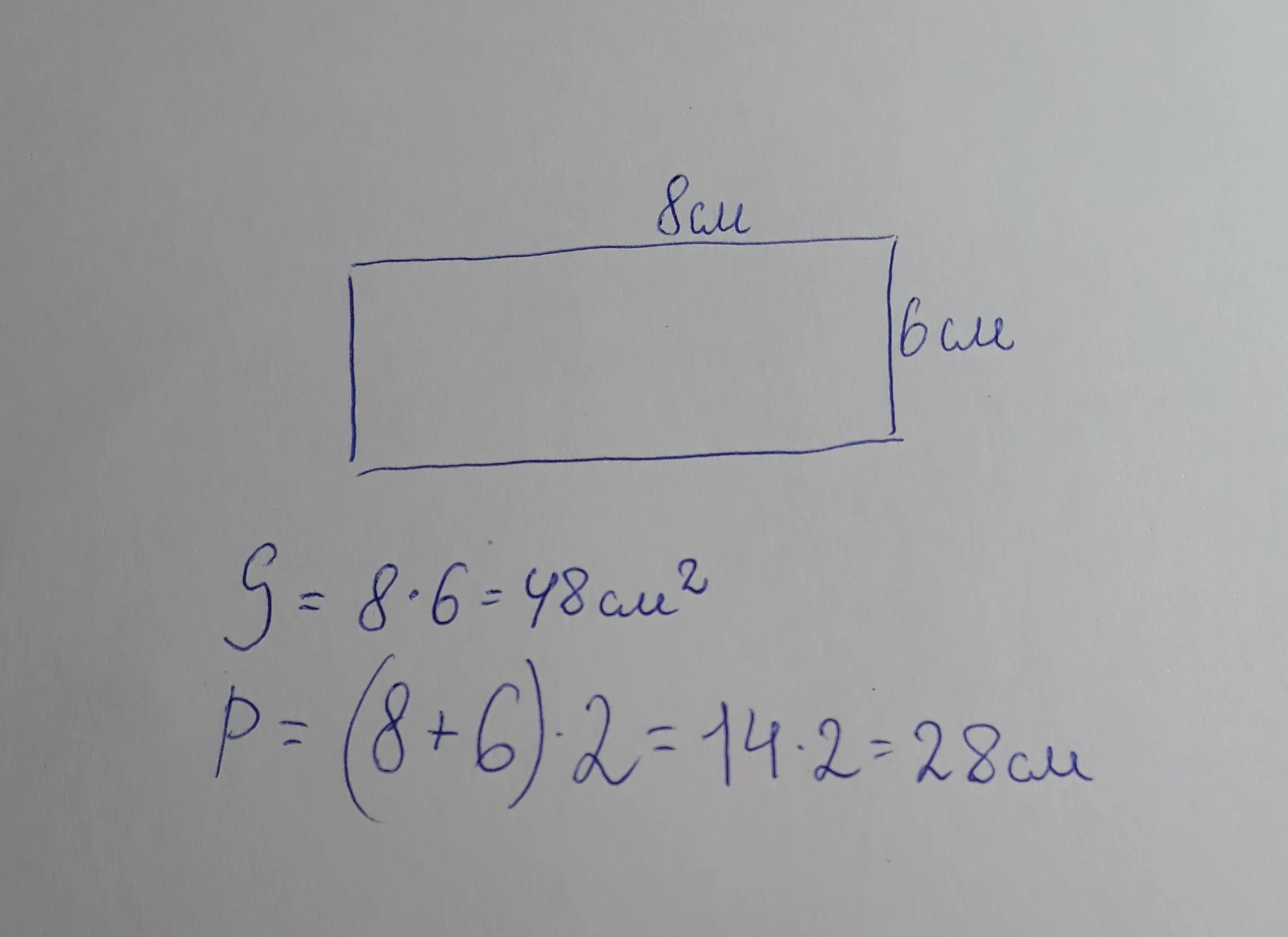 Прямоугольник со сторонами 5 и 6 см