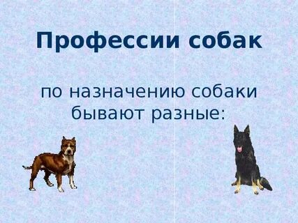 Роль собаки