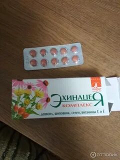 Биокор эхинацея