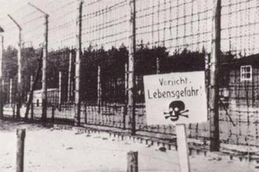 Ремарк концлагеря