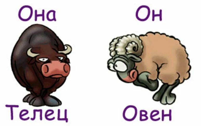 Мужчина овен и женщина телец. Знаки зодиака овен и телец. Совместимость овна и тельца. Овен и телец в отношениях. Овен и телец в отношениях.